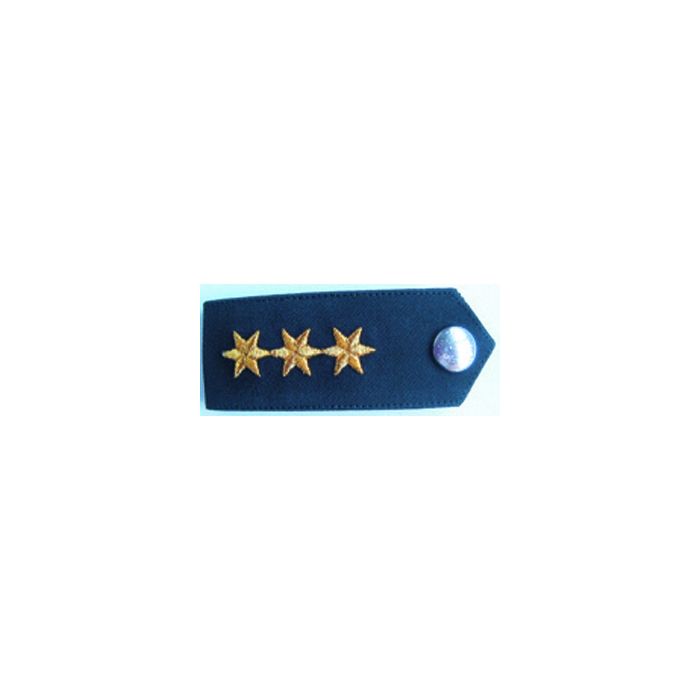 Dienstgradabzeichen Polizeidirektor/in - Blau - Höherer Dienst - Nr. 5190
