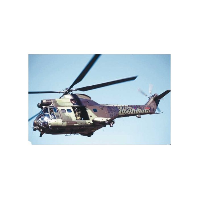TIGER PUMA ROYAL AIR FORCE - Original Fotoabzüge (kein Druck) - Björn Trotzki - 30x45 cm - Nr. AF4606