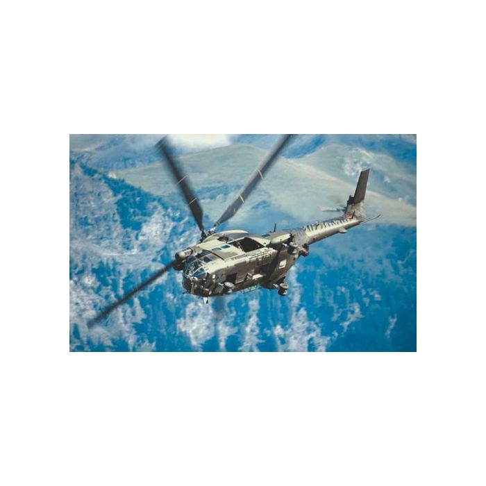 HC 1 PUMA RAF - Original Fotoabzüge (kein Druck) - Björn Trotzki - 30x45 cm