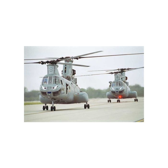 CH-47 CHINOOK - Original Fotoabzüge (kein Druck) - Björn Trotzki - 30x45 cm