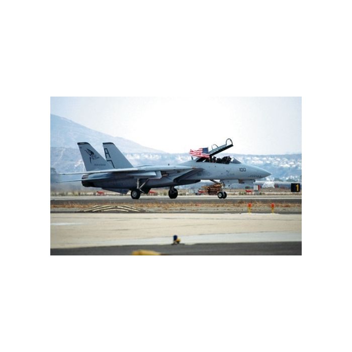 TOMCAT + STARS´N STRIPES - Original Fotoabzüge (kein Druck) - Björn Trotzki - 30x45 cm - Nr. AF4612