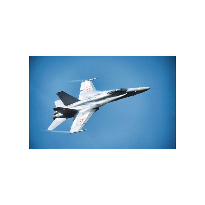 SWISS HORNET - Original Fotoabzüge (kein Druck) - Björn Trotzki - 30x45 cm - Nr. AF4613
