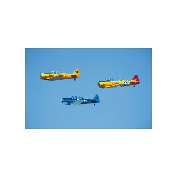 WAR BIRDS - Original Fotoabzüge (kein Druck) - Björn Trotzki - 30x45 cm