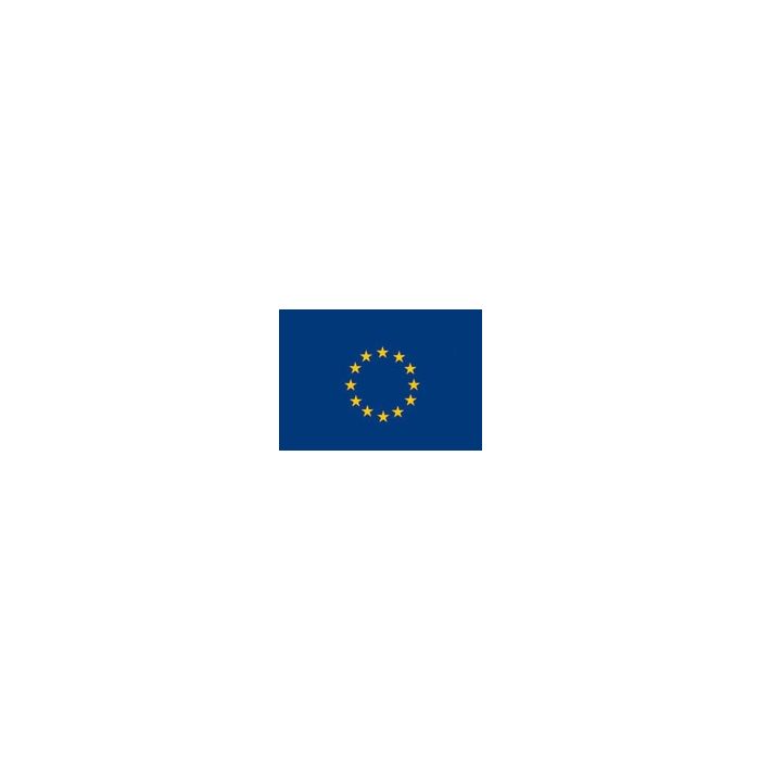 Flagge Europa, 90 x 150 cm - 100% Polyester - Nr. FL4511