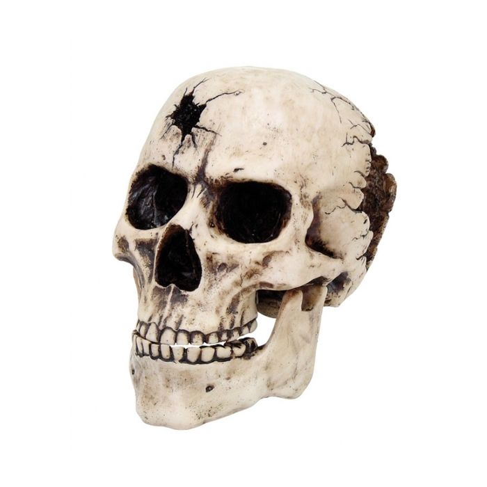 Luftschädel - mit Einschussloch, 4 Elemente beige - Aus Kunststein, Höhe: 19 cm - Nr. MA4860