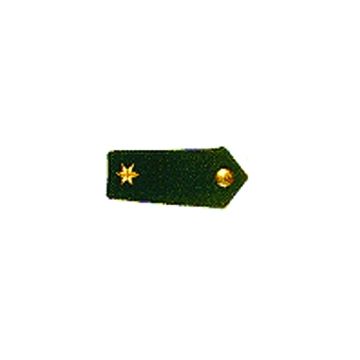 Dienstgradabzeichen Polizeirat/rätin - Grün - Höherer Dienst - Nr. 5165
