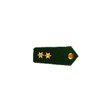 Dienstgradabzeichen Polizeioberrat/rätin - Grün - Höherer Dienst - Nr. 5166