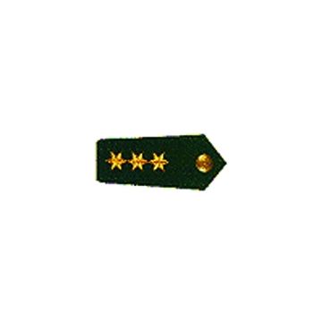 Dienstgradabzeichen Polizeidirektor/in - Grün - Höherer Dienst - Nr. 5167