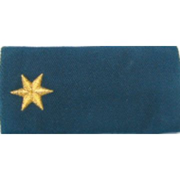 Polizeirat/rätin - Höherer Dienst - Schulterklappen mit Schlaufe - Nr. 7859