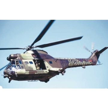 TIGER PUMA ROYAL AIR FORCE - Original Fotoabzüge (kein Druck) - Björn Trotzki - 30x45 cm - Nr. AF4606