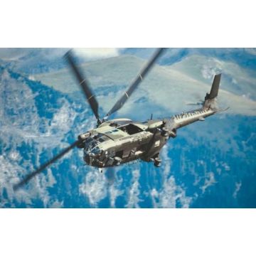 HC 1 PUMA RAF - Original Fotoabzüge (kein Druck) - Björn Trotzki - 30x45 cm