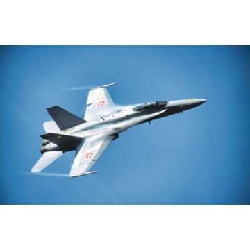 SWISS HORNET - Original Fotoabzüge (kein Druck) - Björn Trotzki - 30x45 cm - Nr. AF4613