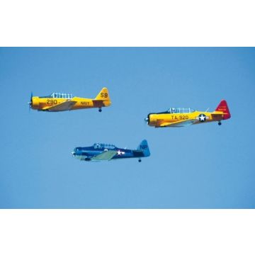 WAR BIRDS - Original Fotoabzüge (kein Druck) - Björn Trotzki - 30x45 cm