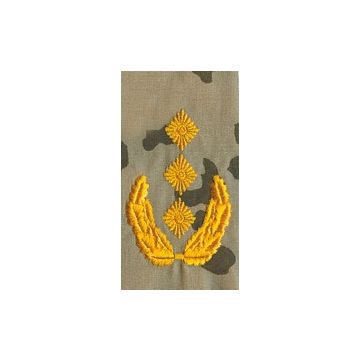 Rangschlaufen - Generalleutnant - tropentarn - Paar - Nr. BW3682
