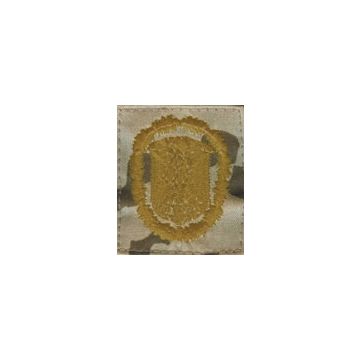 Leistungsabzeichen Bronze - TROPENTARN - Nr. BW4833