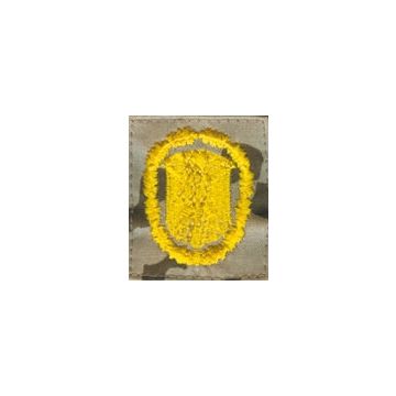 Leistungsabzeichen Gold - TROPENTARN - Nr. BW4835