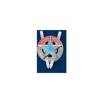 Skieurs Militaires - Nr. LE4856