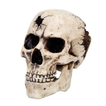 Luftschädel - mit Einschussloch, 4 Elemente beige - Aus Kunststein, Höhe: 19 cm - Nr. MA4860